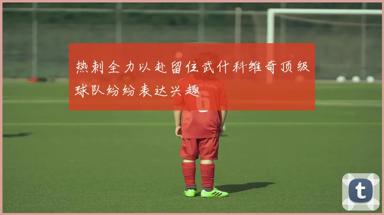 热刺全力以赴留住武什科维奇顶级球队纷纷表达兴趣
